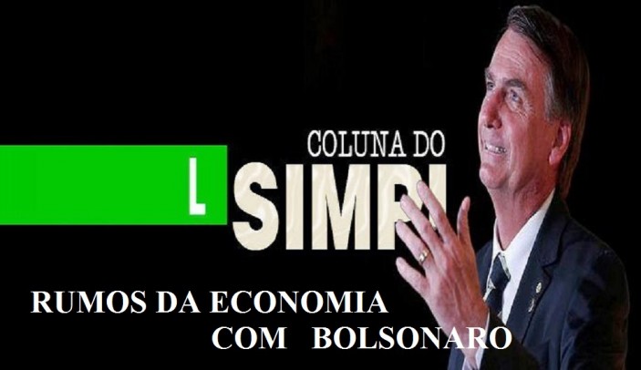 RUMOS DA ECONOMIA NO GOVERNO BOLSONARO