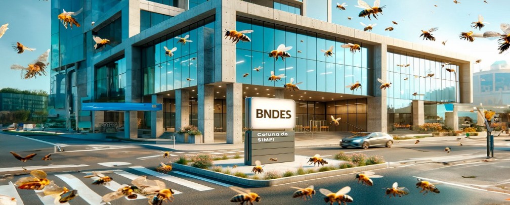 BNDES tem 1 bi para restaurar a amazônia e o “Projeto Curupira” retorna em sua 7ª etapa