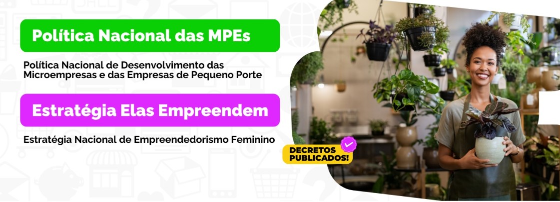 O Impacto da nova Política Nacional de Desenvolvimento da Micro e da Pequena Empresa