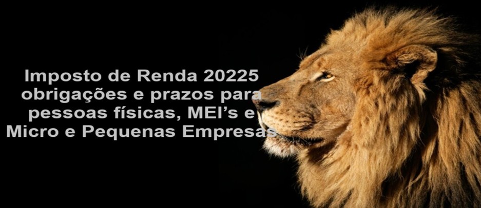 Imposto de Renda I: obrigações e prazos para pessoas físicas, MEI’s e Micro e Pequenas Empresas
